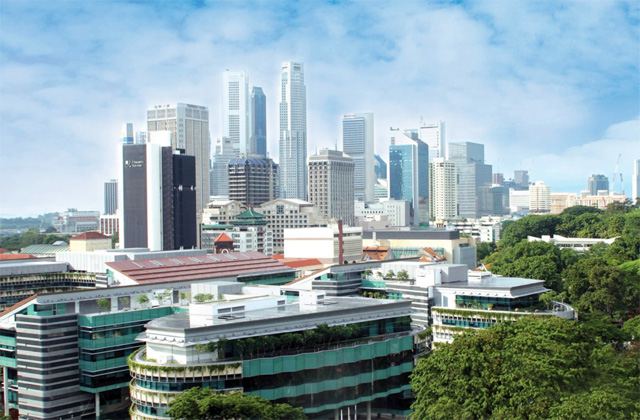 新加坡管理大学设立首个综合学科学院！