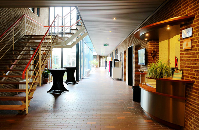 荷兰商学院MBA报考条件