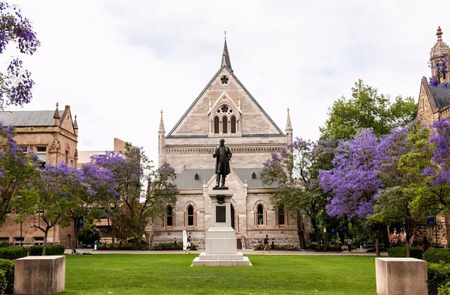国立南澳大学图片