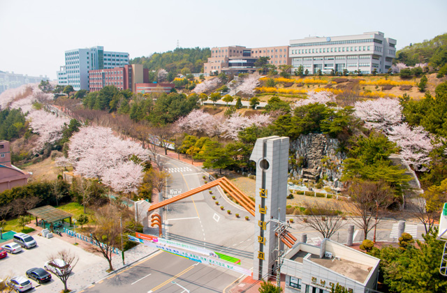 韩国全南大学MBA课程设置