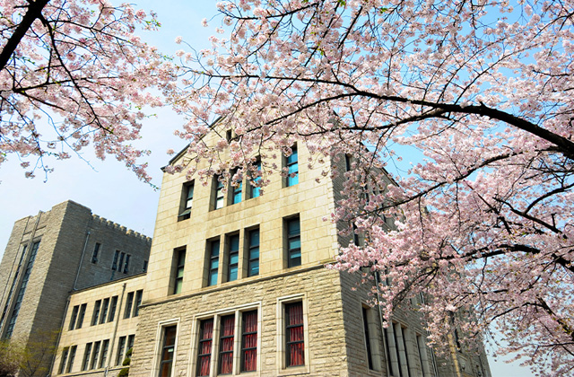 韩国东国大学MBA课程优势